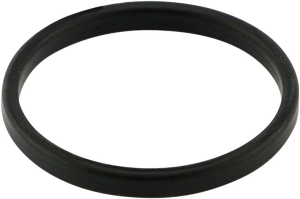 Doppel-O-Ring für Flanschverbindung